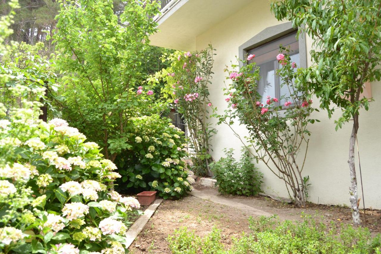 Lazatka Flat In Capital Chora Apartment Samothraki Exterior photo